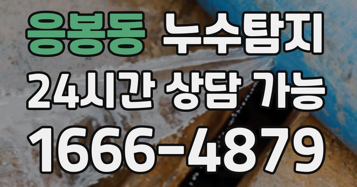 응봉동 누수