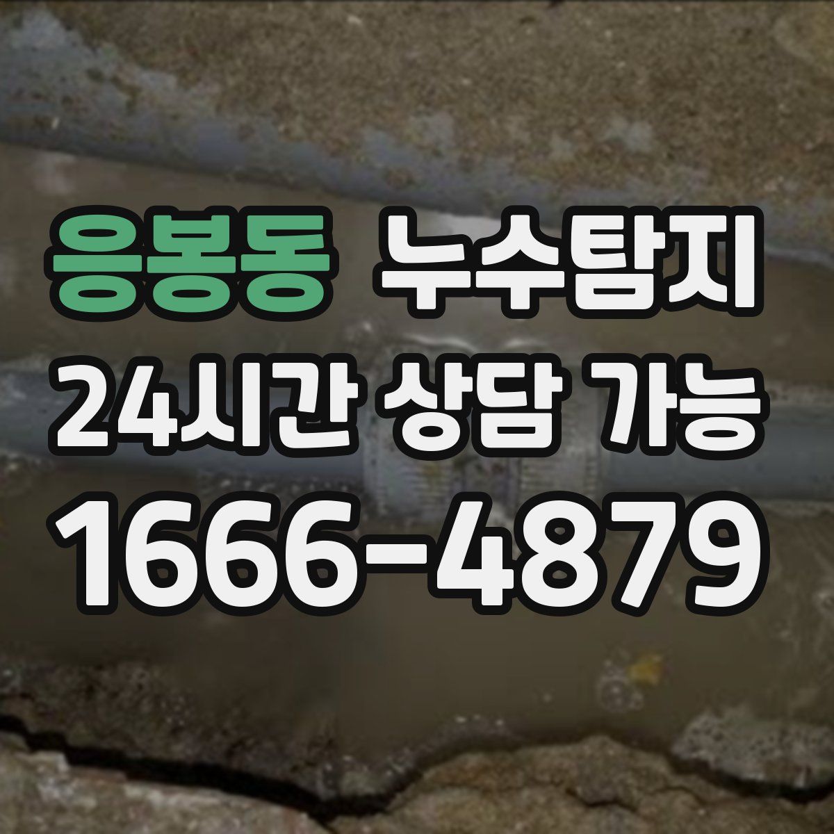 응봉동 누수탐지