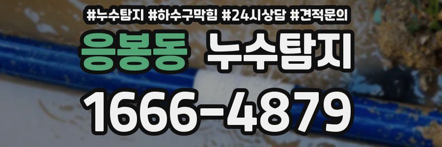누수탐지