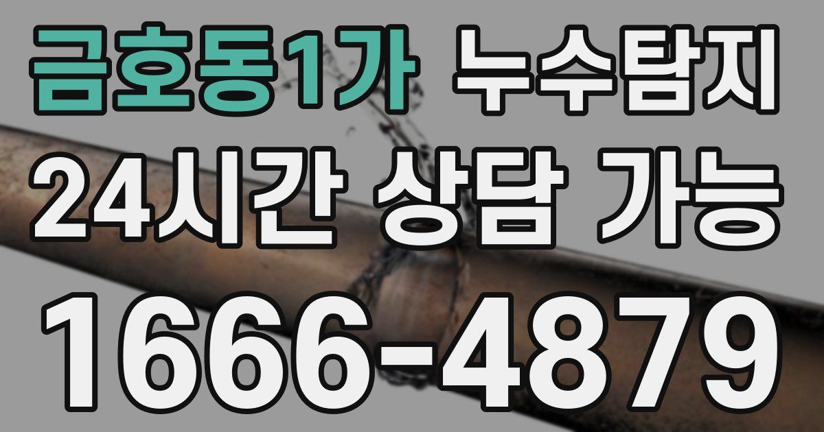 금호동1가 누수