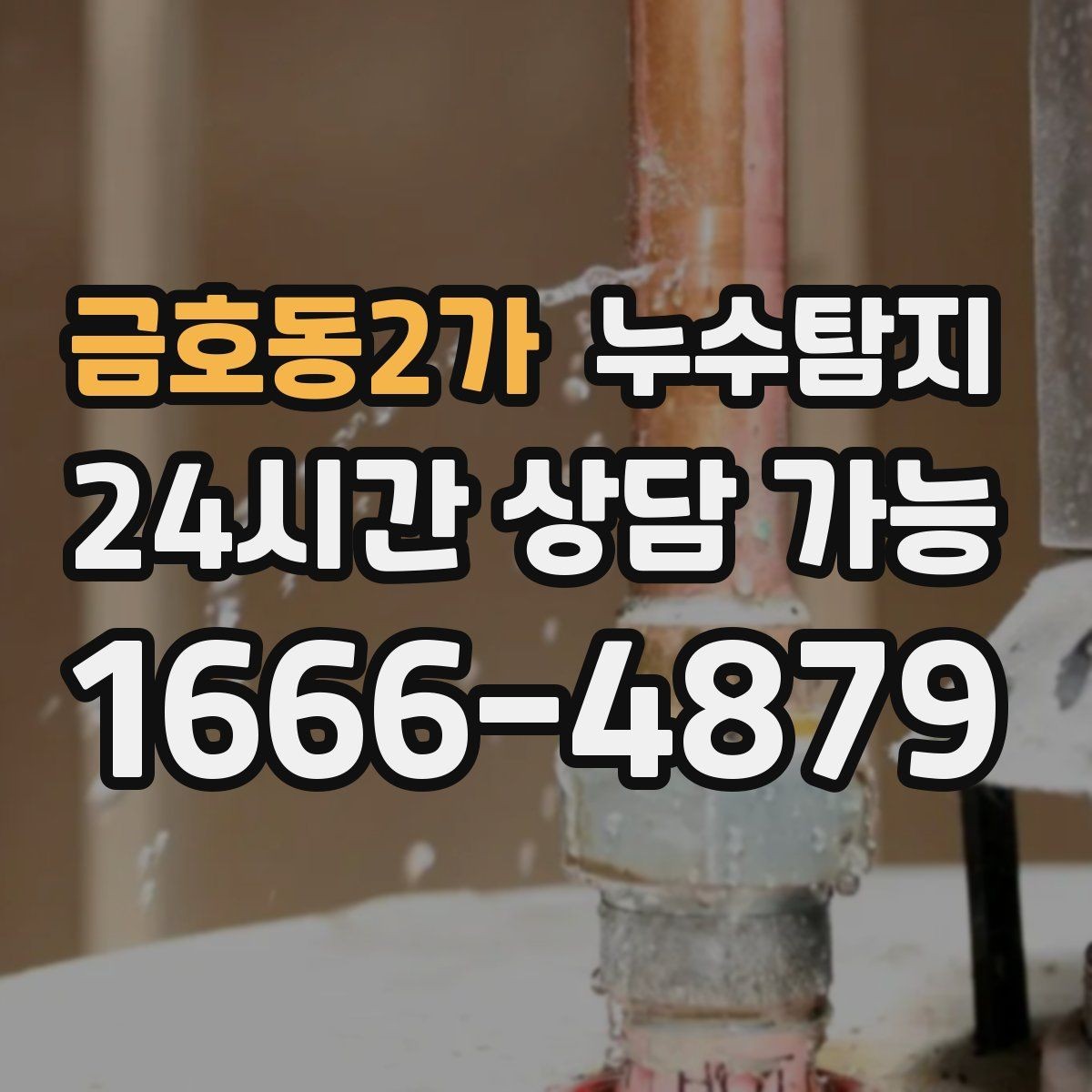 금호동2가 누수탐지 줄눈 보수로 마무리한 후기