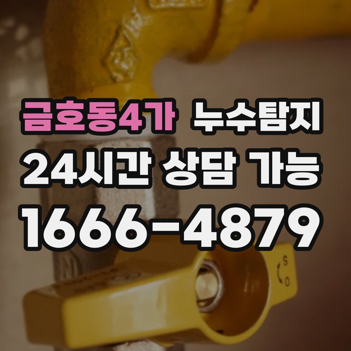 금호동4가 누수탐지