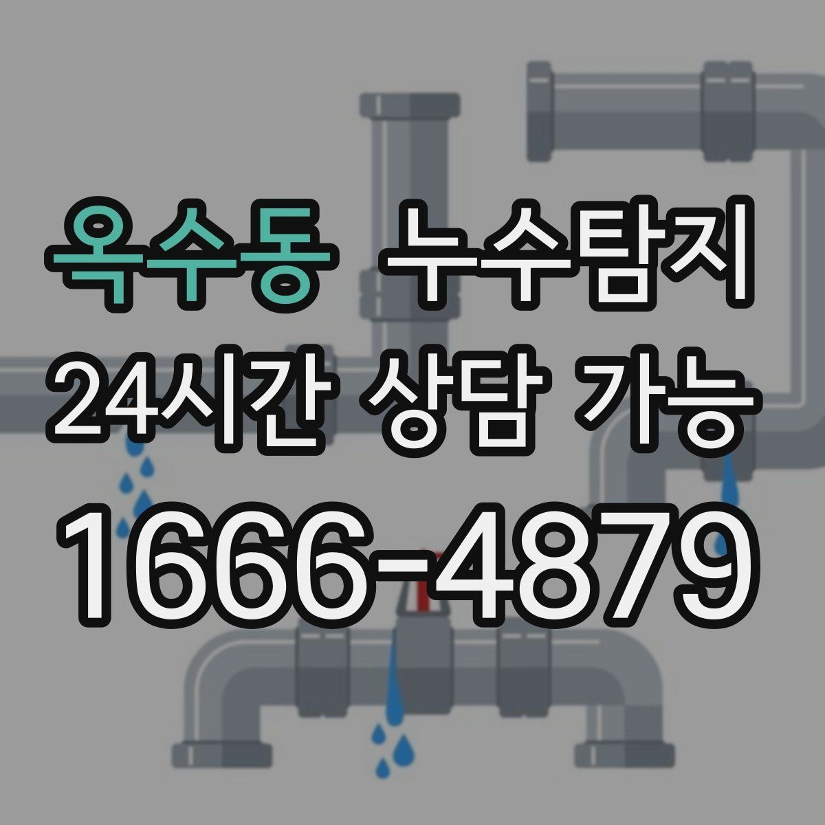 옥수동 누수탐지 반복 누수 재발 방지 솔루션
