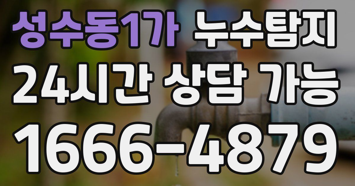 성수동1가 누수