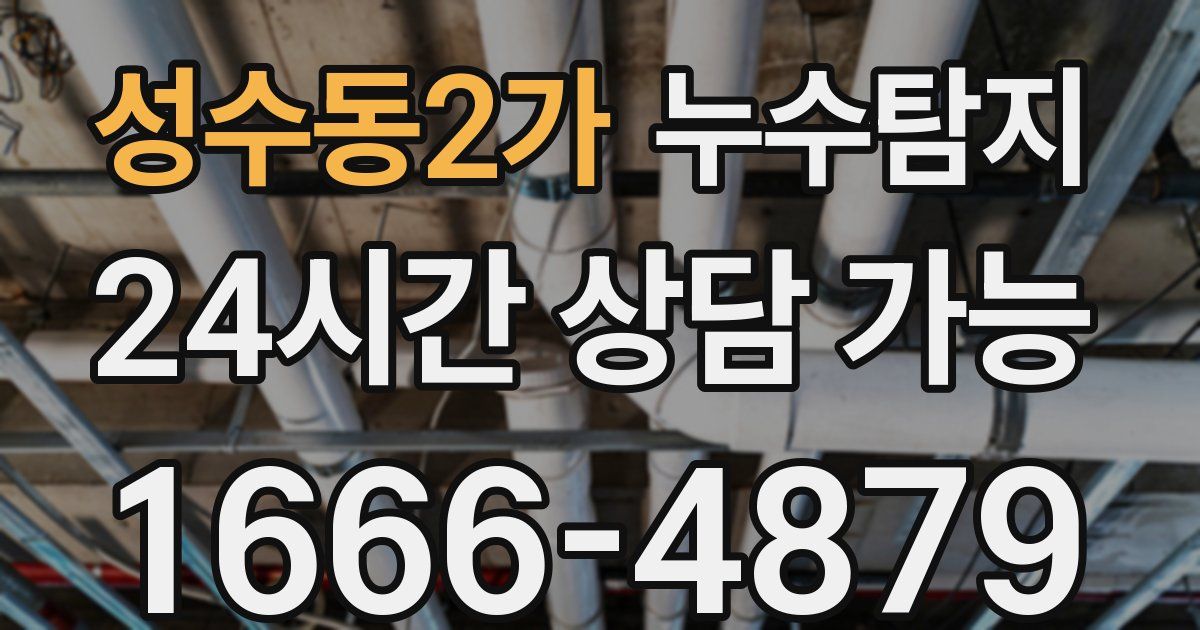 성수동2가 누수