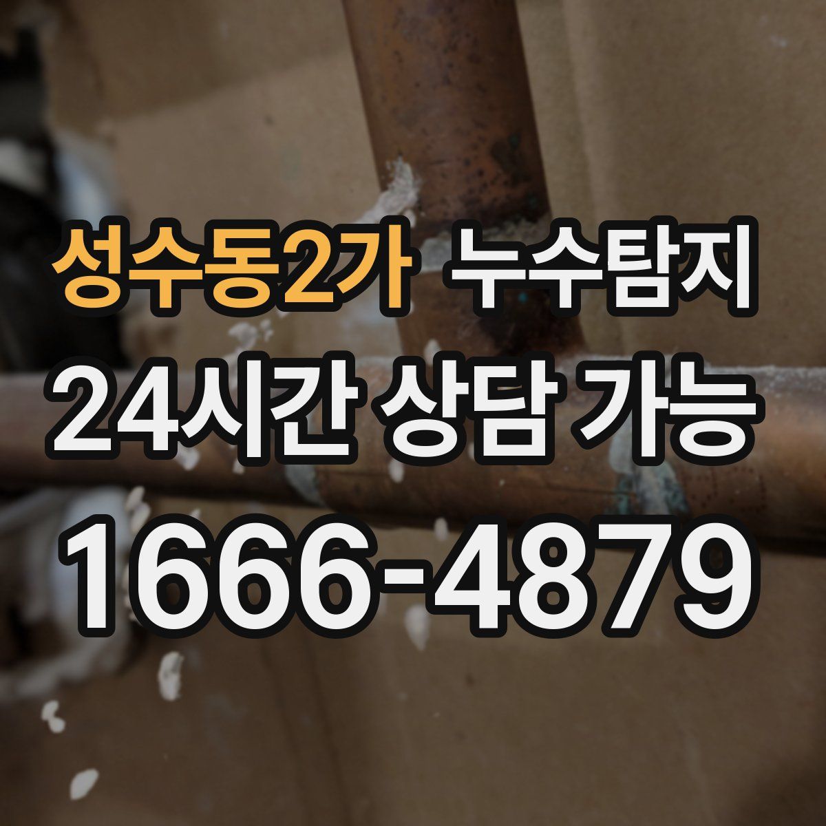 성수동2가 누수탐지