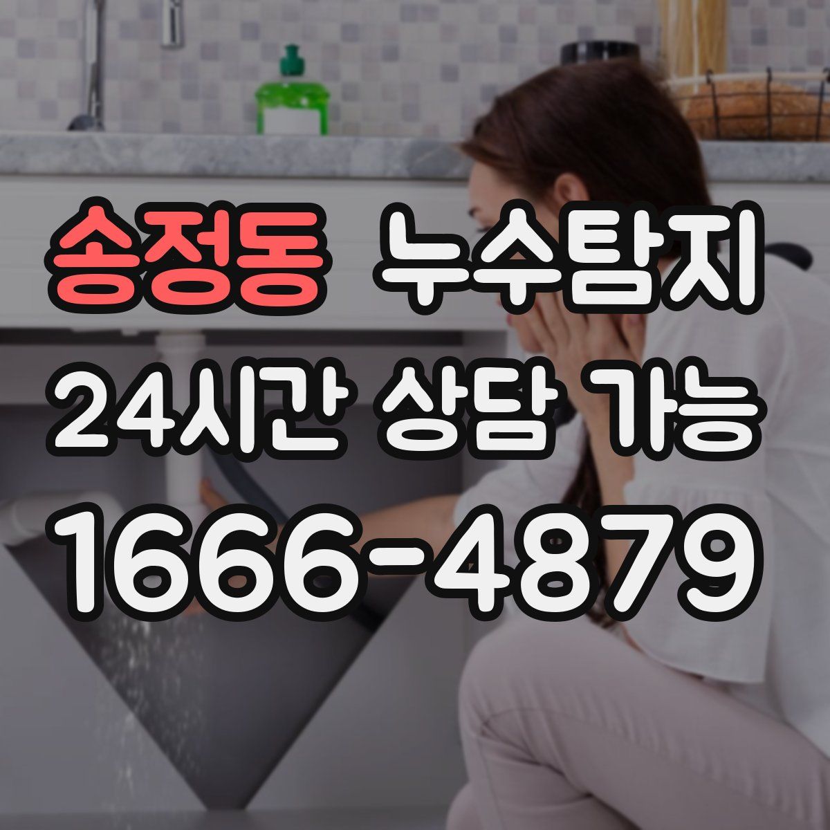 송정동 누수탐지