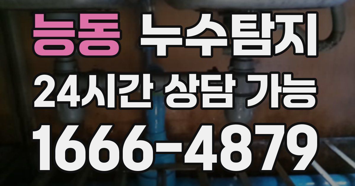 능동 누수