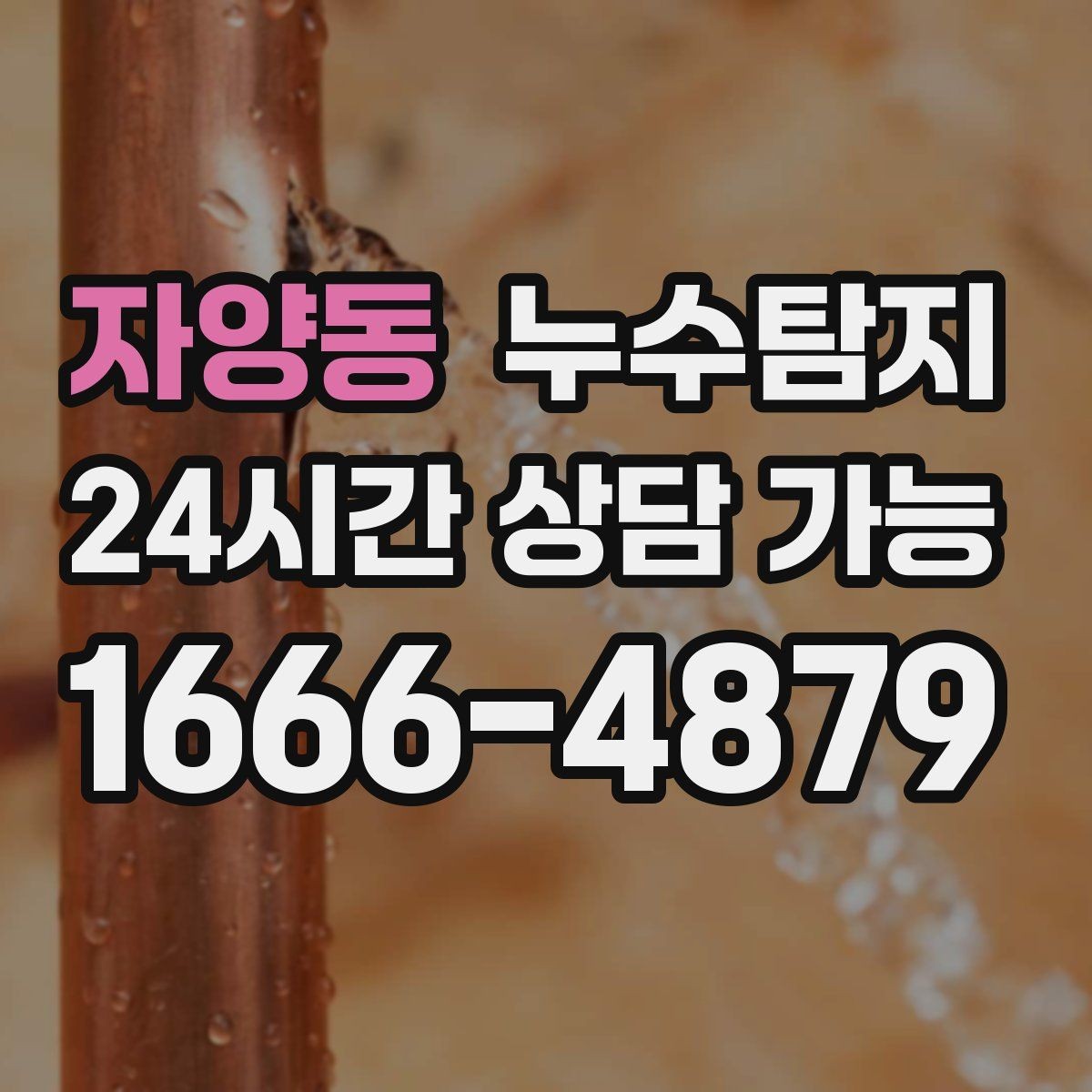 자양동 누수탐지 장마철 곰팡이 예방 루틴 공개