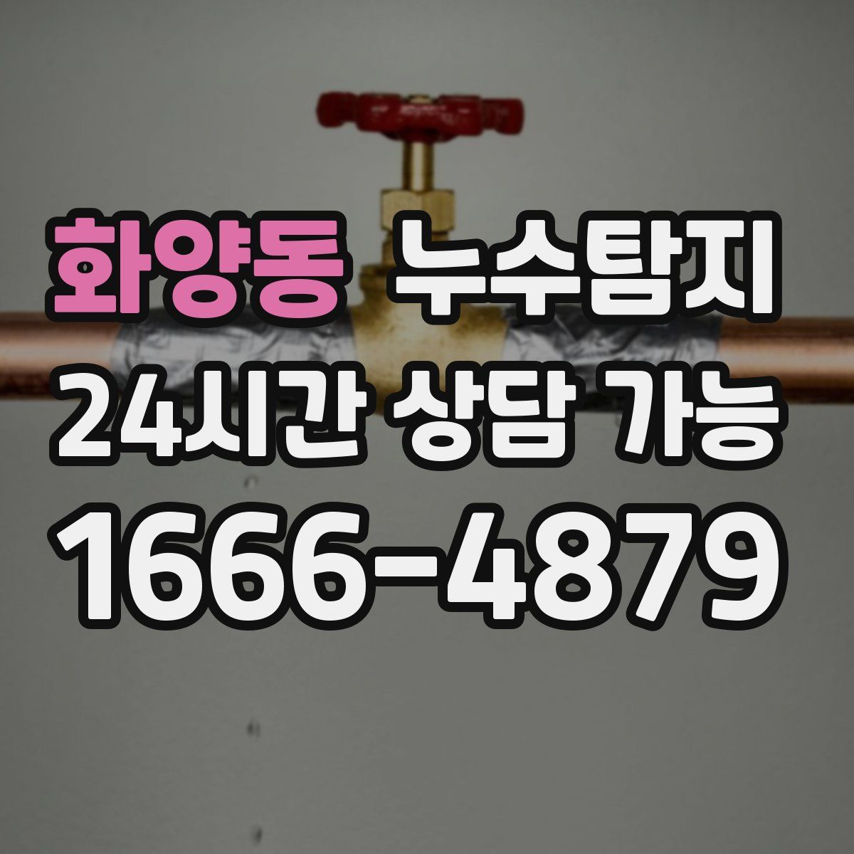 화양동 누수탐지