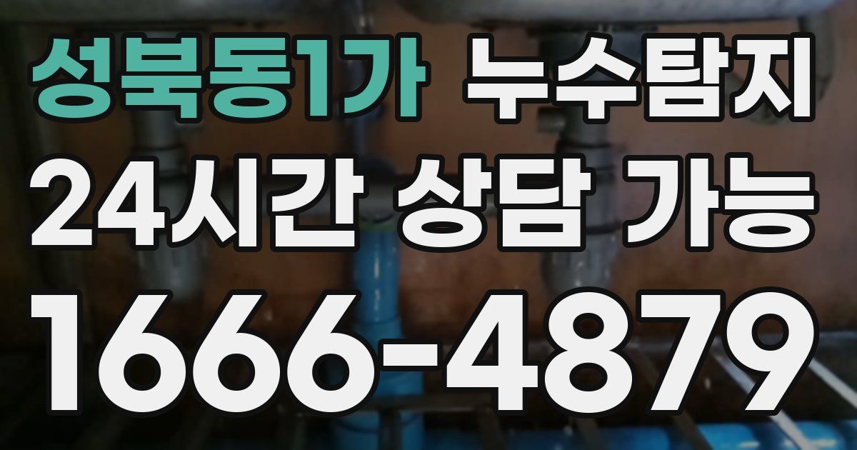 성북동1가 누수