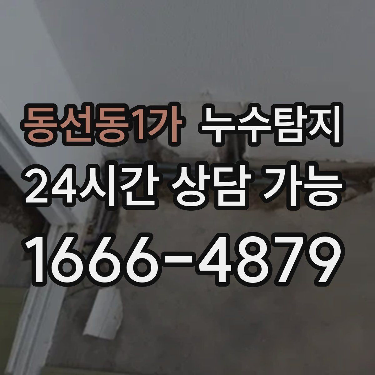 동선동1가 누수탐지 옥상 크랙 점검과 보수 시나리오