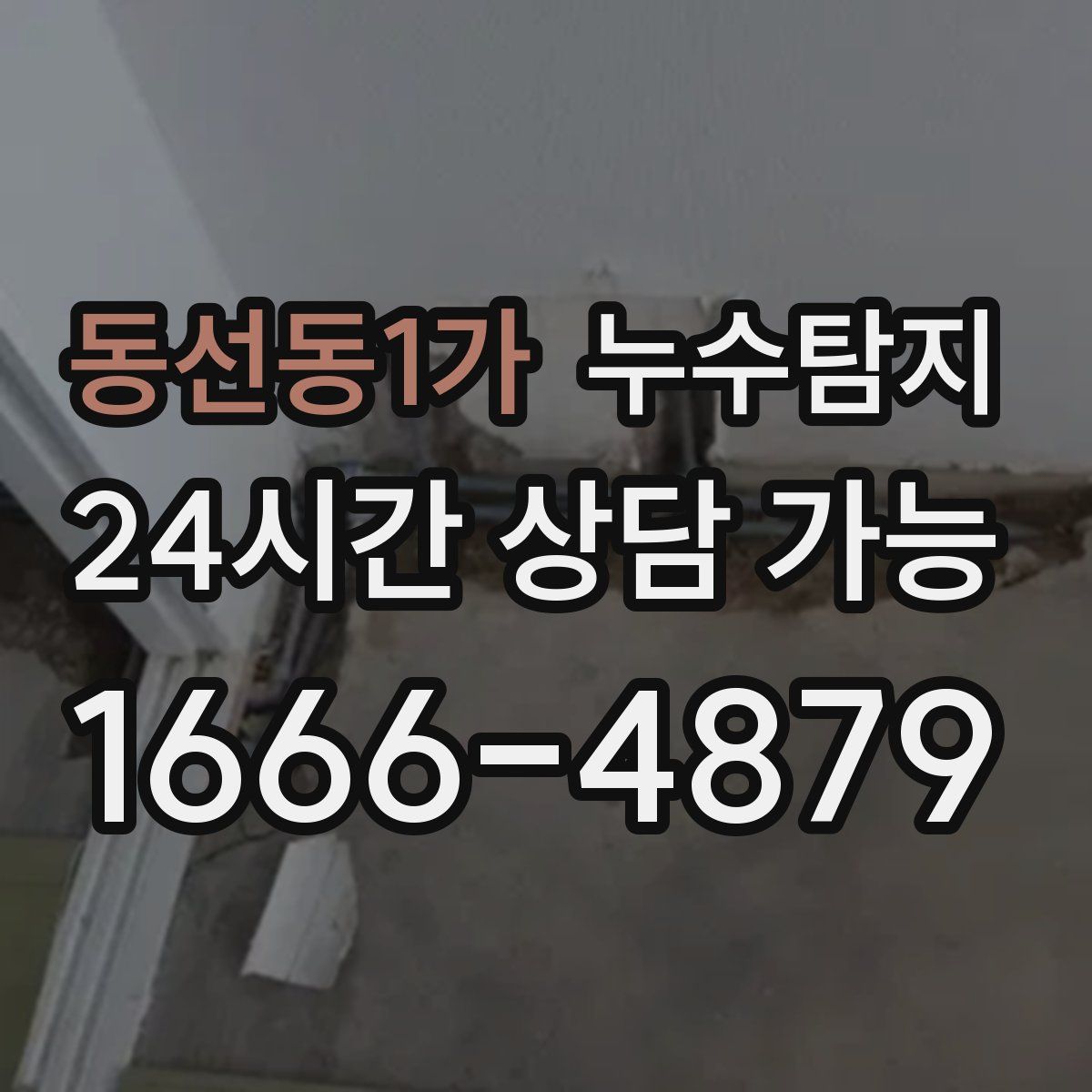 동선동1가 누수탐지