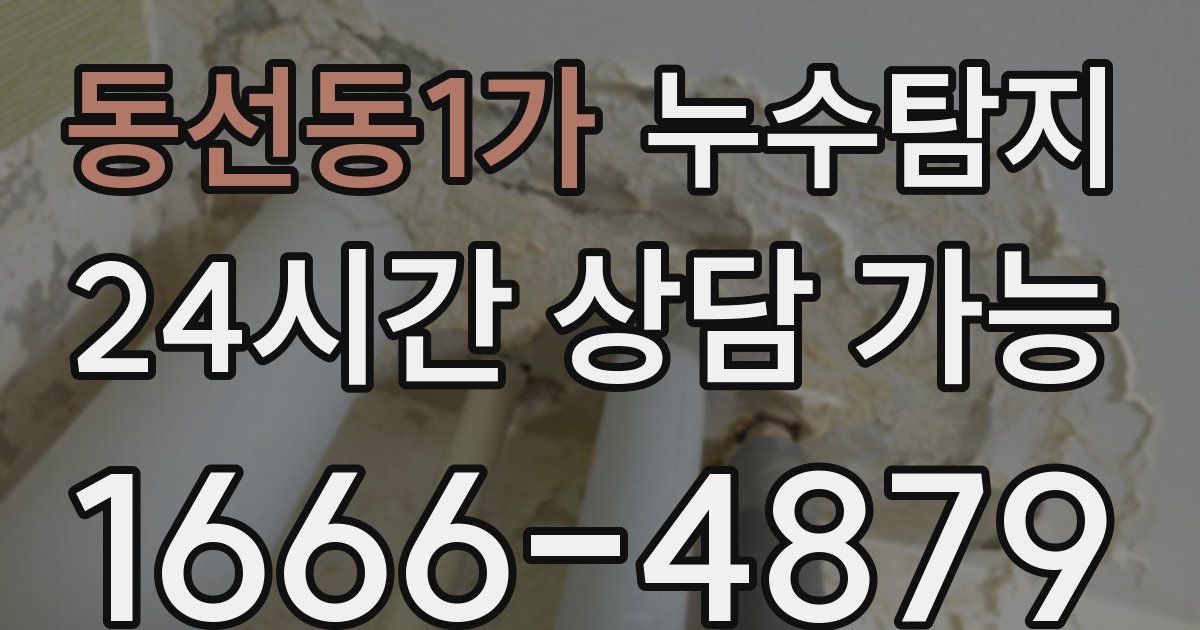 동선동1가 누수