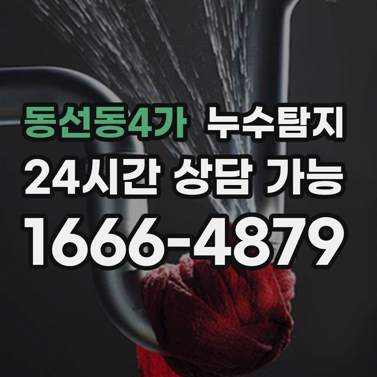 동선동4가 누수탐지 빠른 대처가 비용을 줄인 사례
