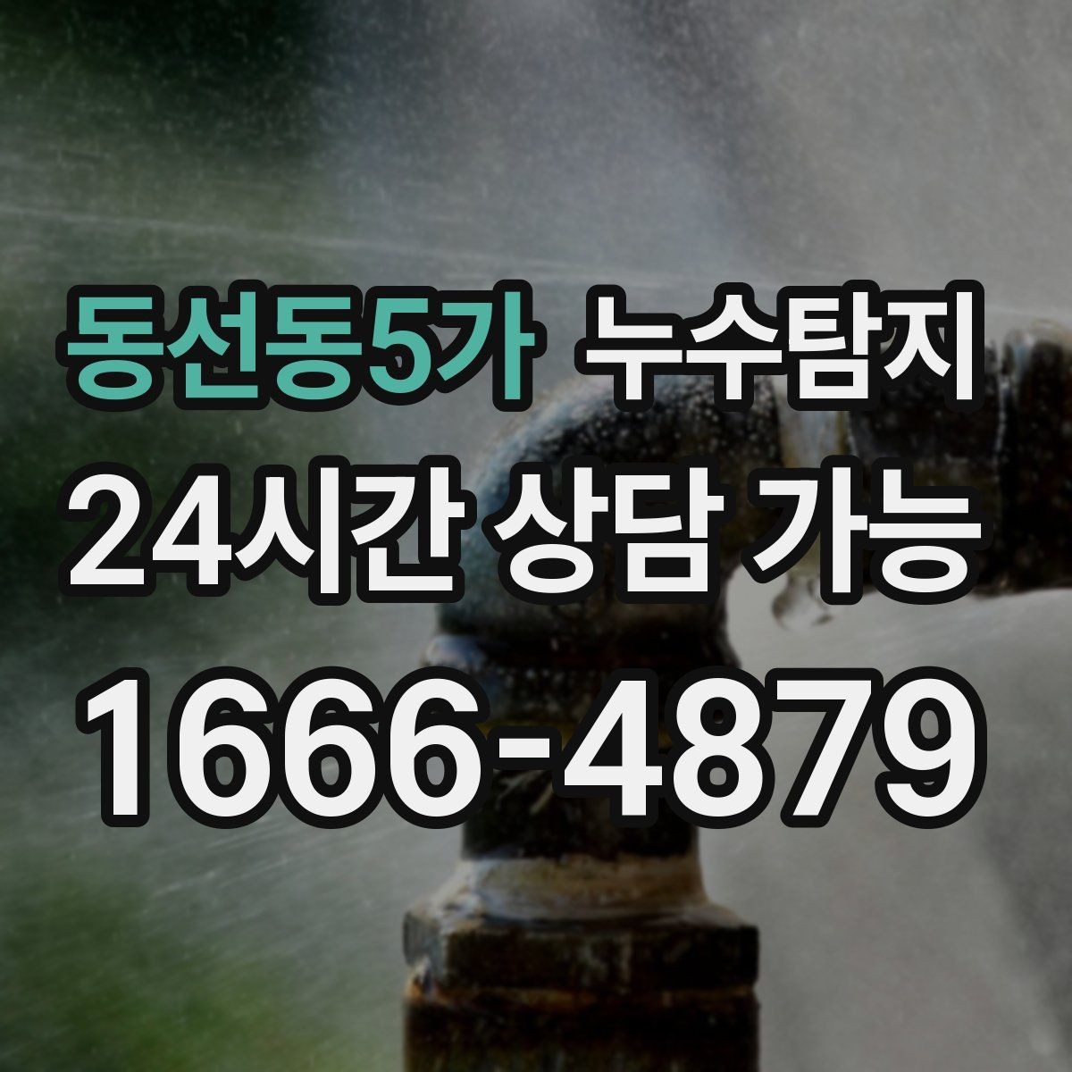동선동5가 누수탐지 계량기 이상 신호 해석 노트