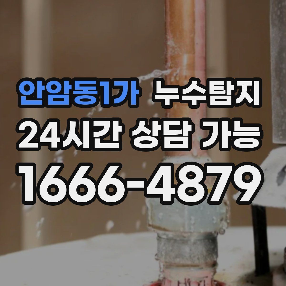 안암동1가 누수탐지 공용배관 의심 구간 찾은 날