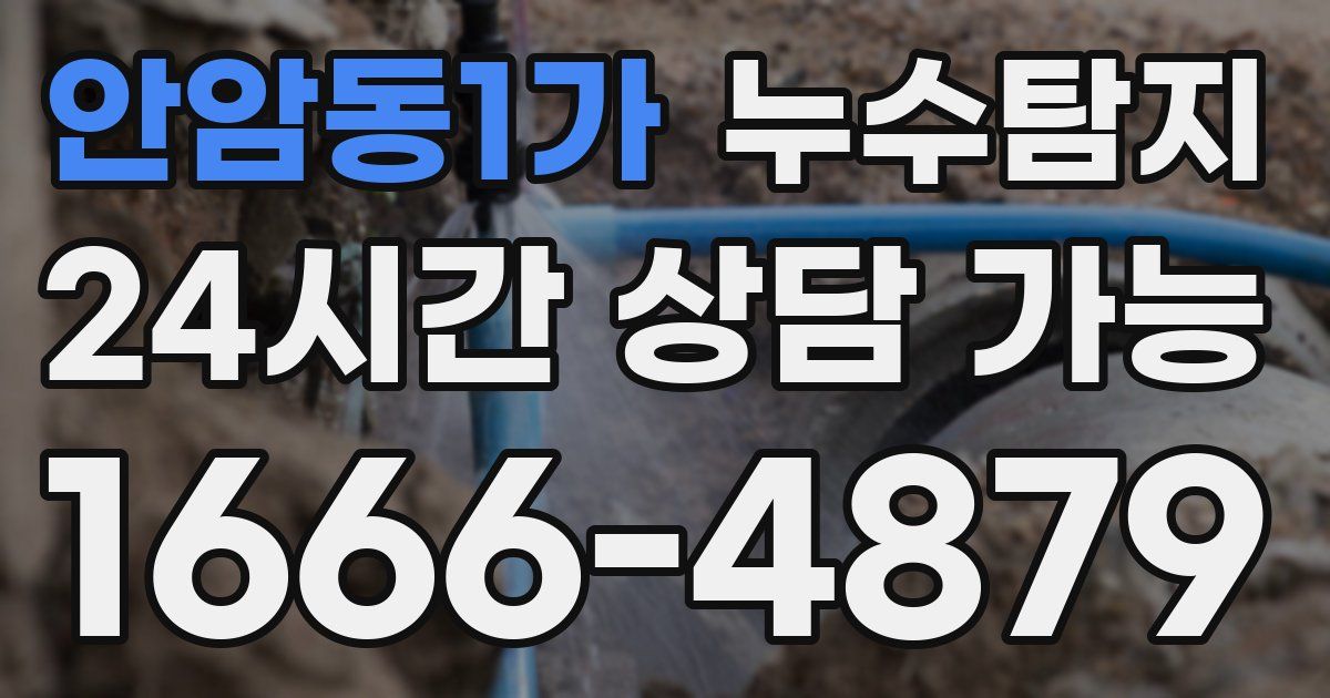 안암동1가 누수