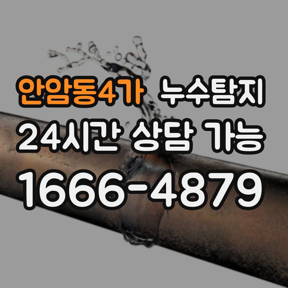 안암동4가 누수탐지