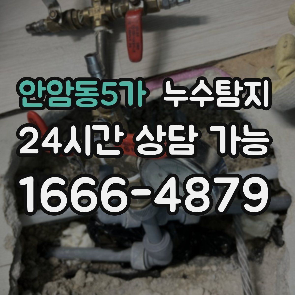 안암동5가 누수탐지 누수 징후가 보일때는
