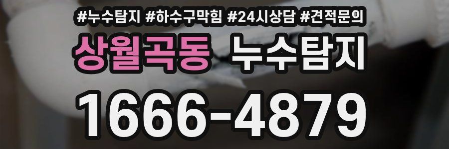 누수탐지