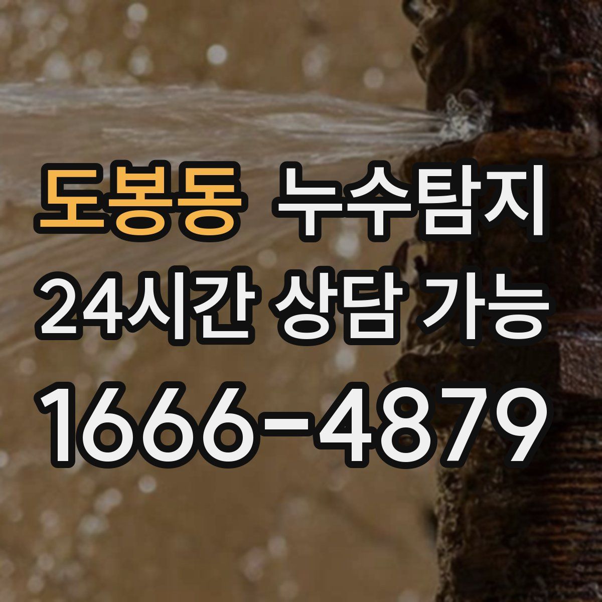 도봉동 누수탐지