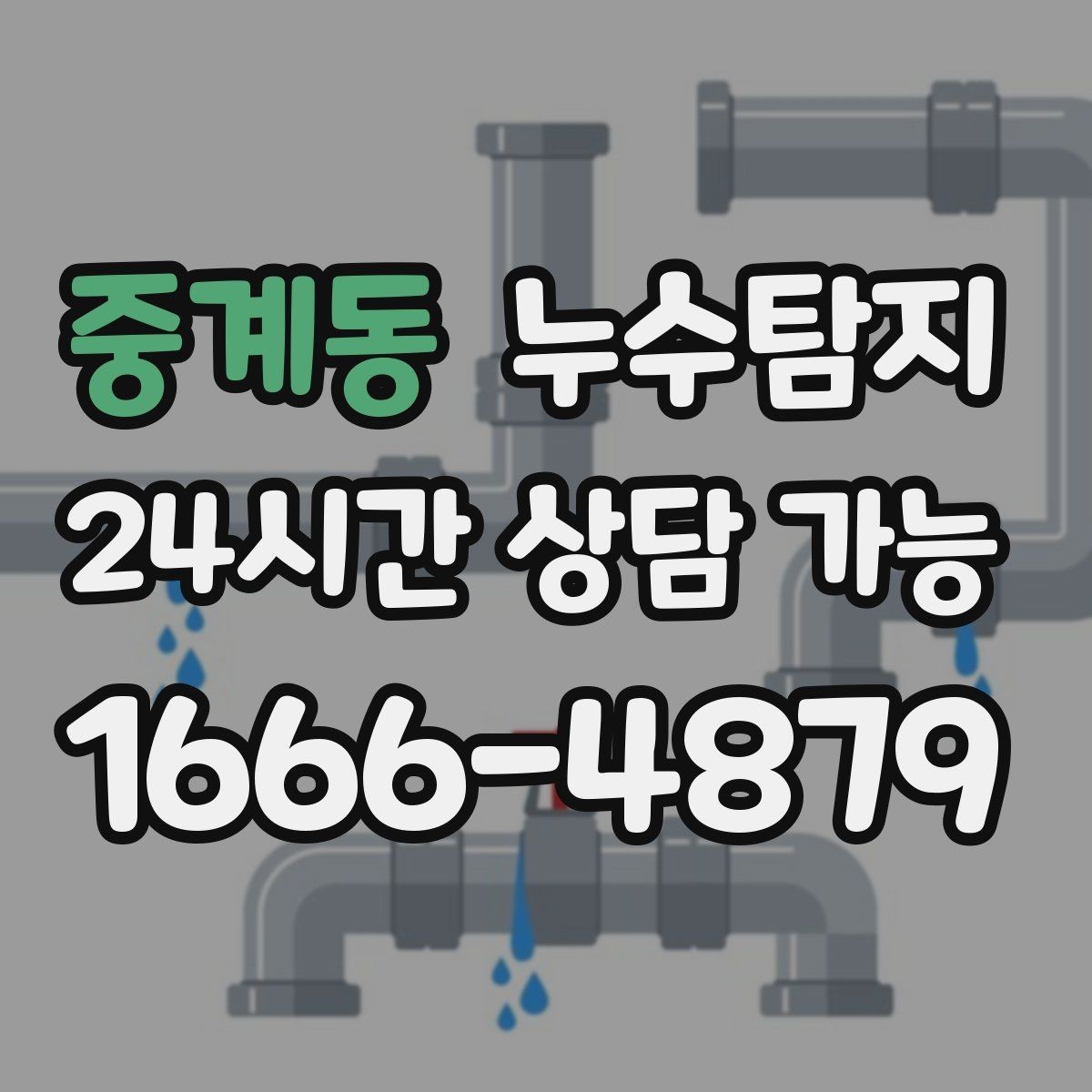 중계동 누수탐지 최소 파괴 정확 위치 탐지