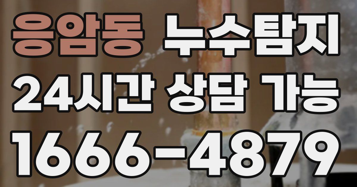응암동 누수