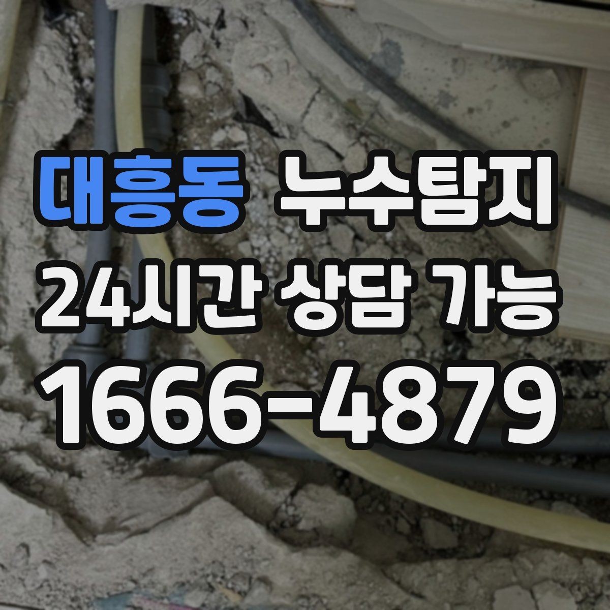 대흥동 누수탐지 동파 누수 긴급 점검
