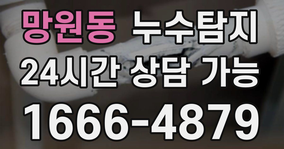 망원동 누수