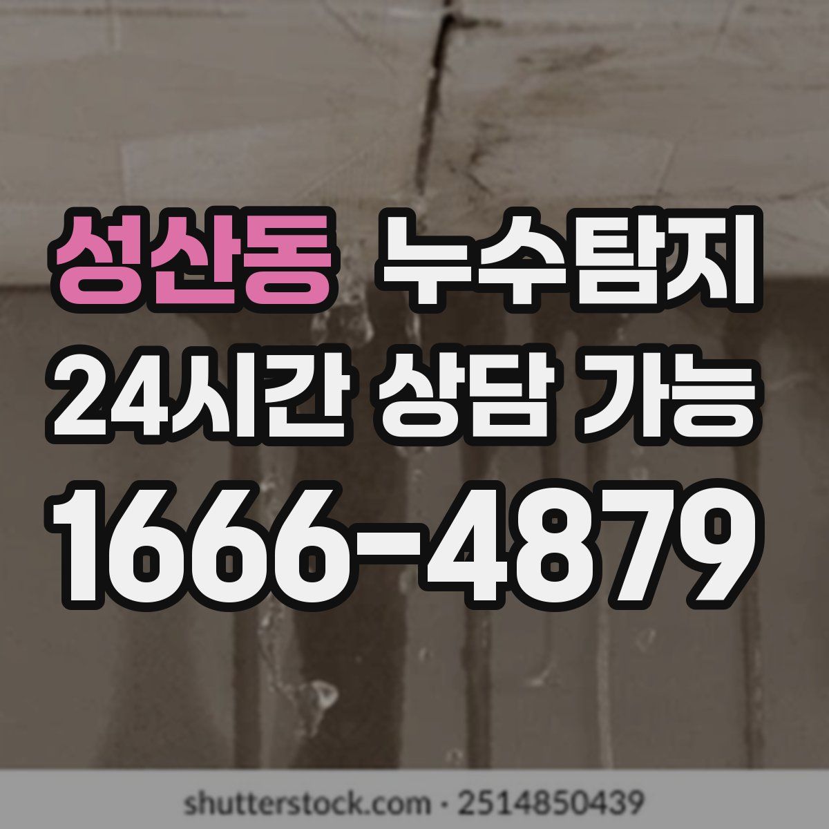 성산동 누수탐지