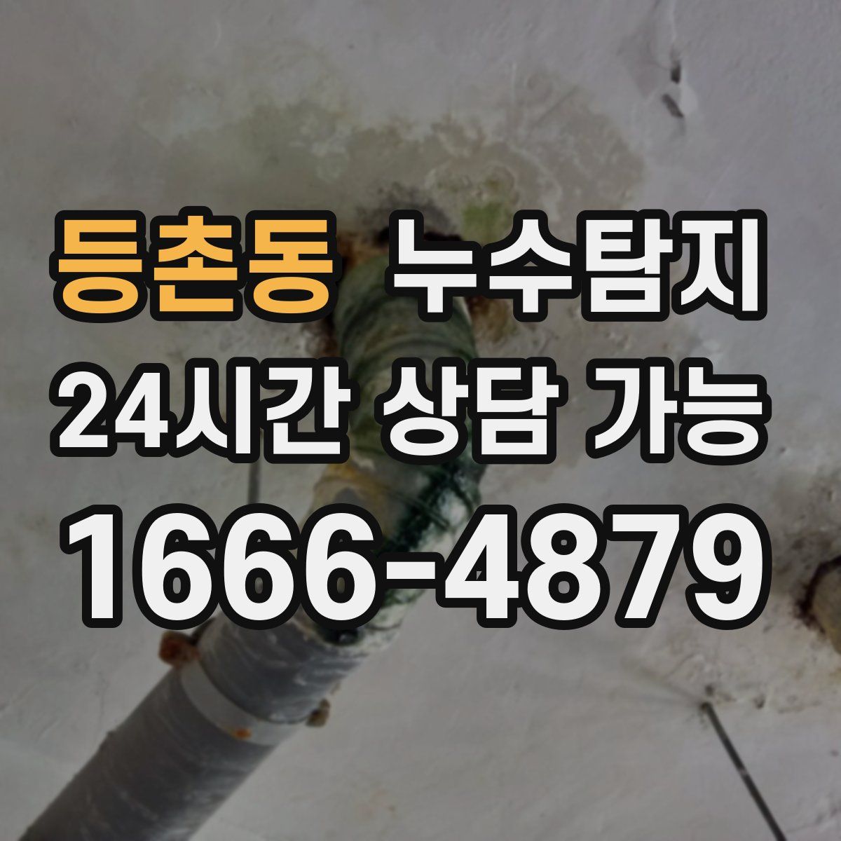 등촌동 누수탐지