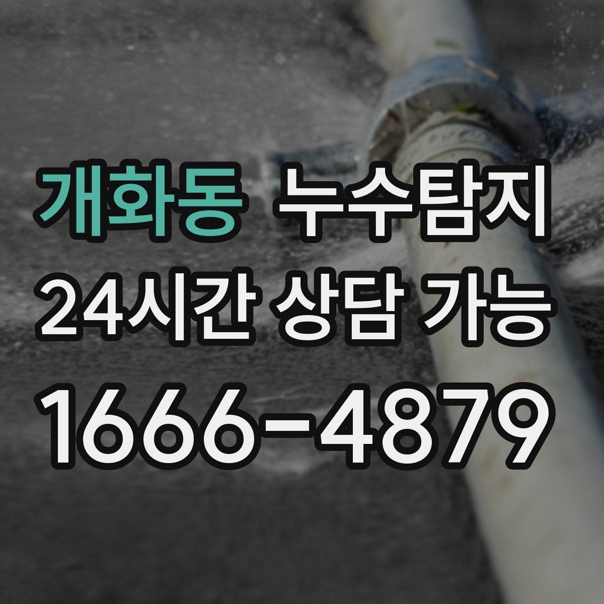 개화동 누수탐지 신속 정확한 서비스를 만나보세요