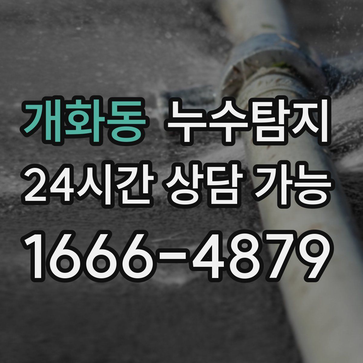 개화동 누수탐지