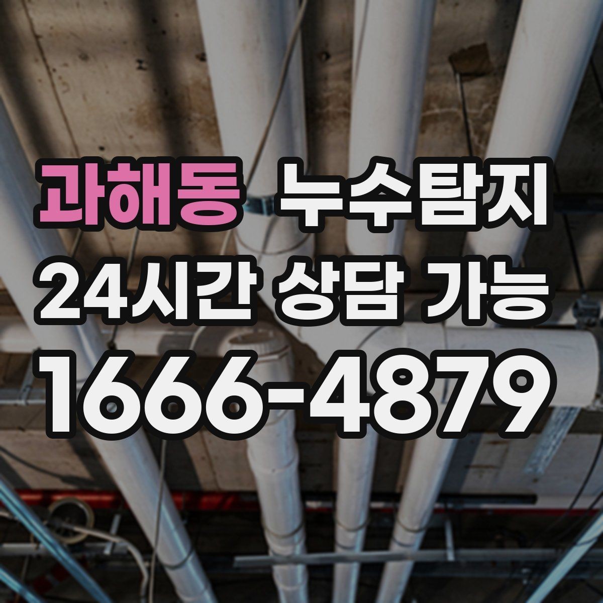 과해동 누수탐지 반려가정 배려 점검 후기