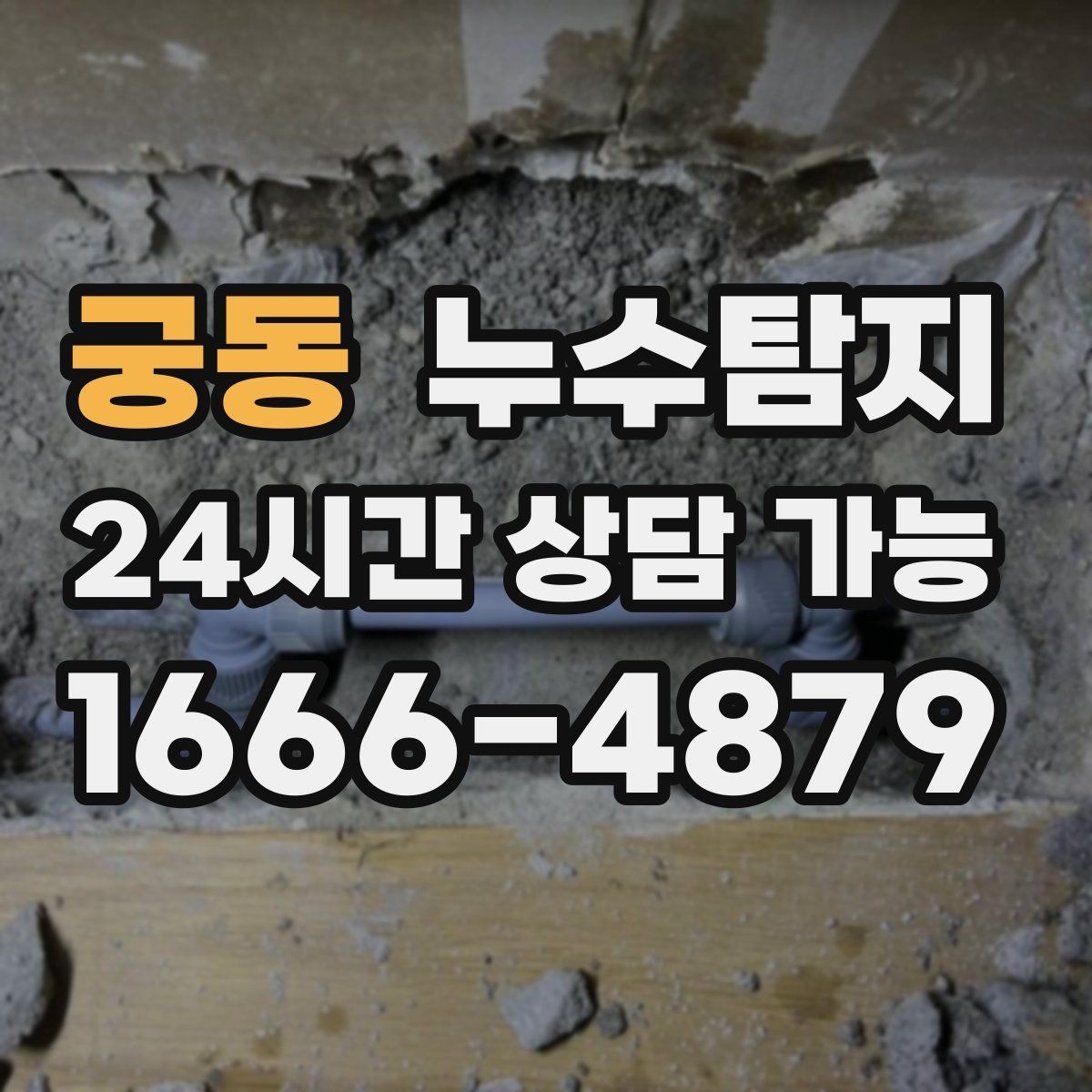 궁동 누수탐지 욕실 곰팡이 원인과 해결 과정