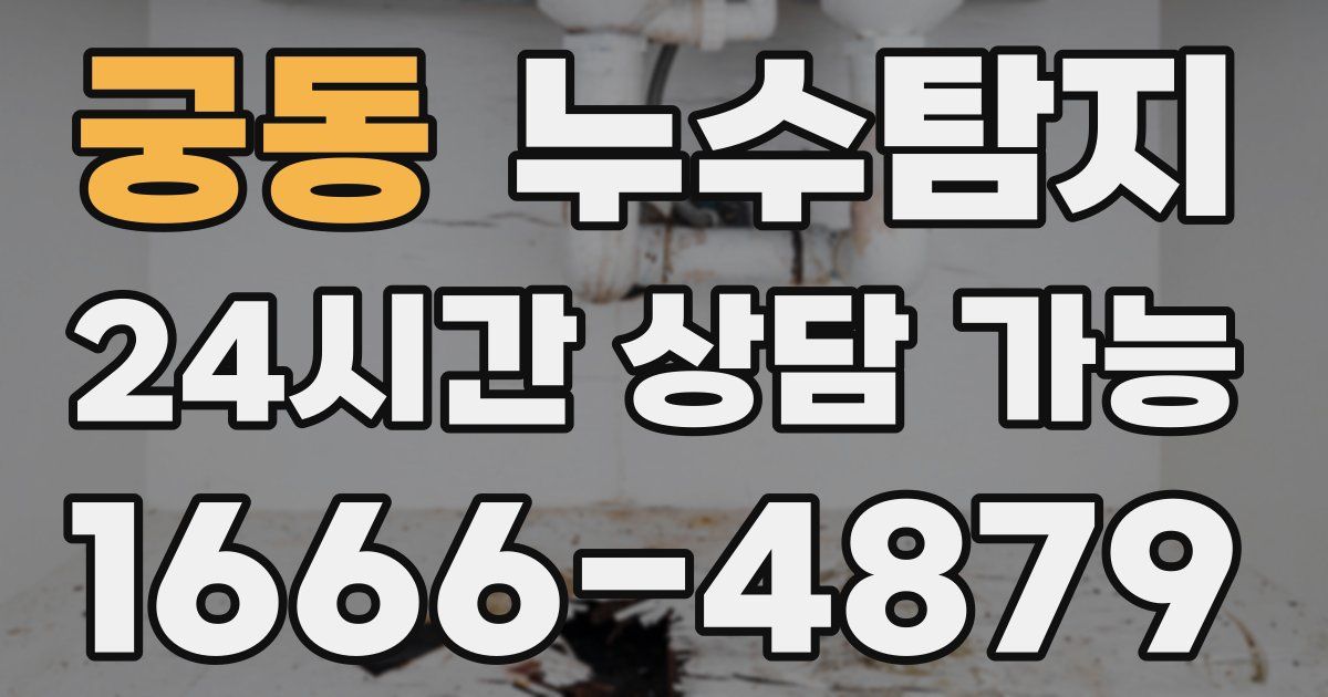 궁동 누수