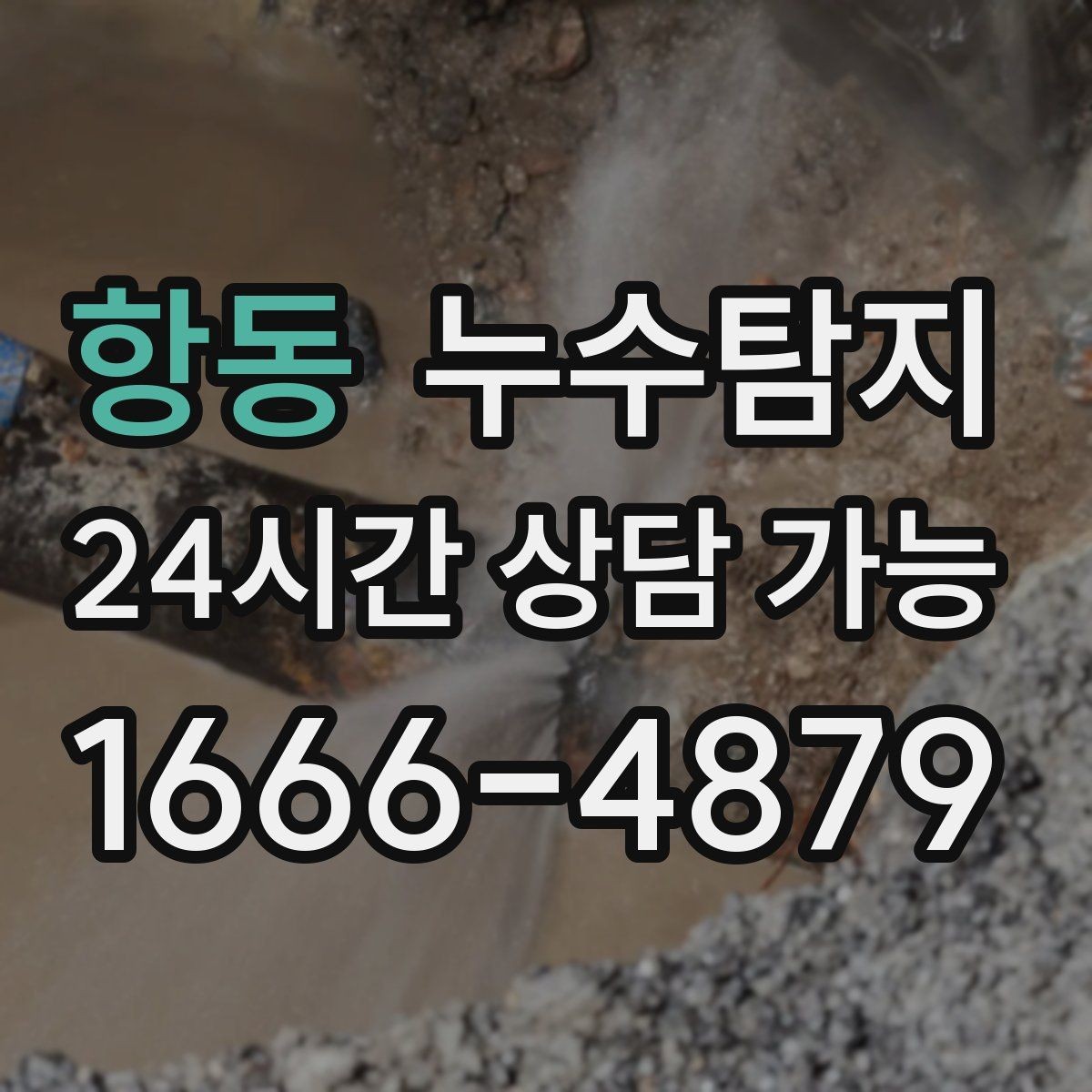 항동 누수탐지 전문 진단 서비스