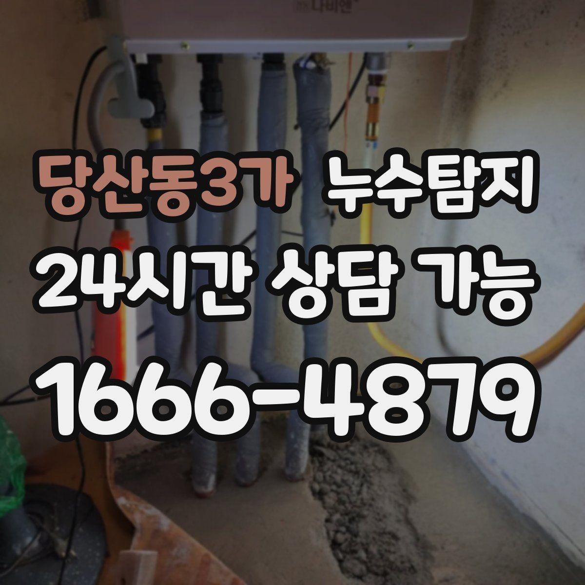 당산동3가 누수탐지 빠른 방문 당일 진단 가능