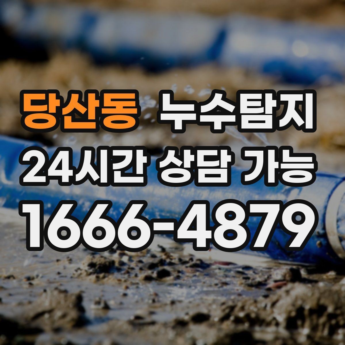 당산동 누수탐지 장판 들뜸 해결까지의 기록