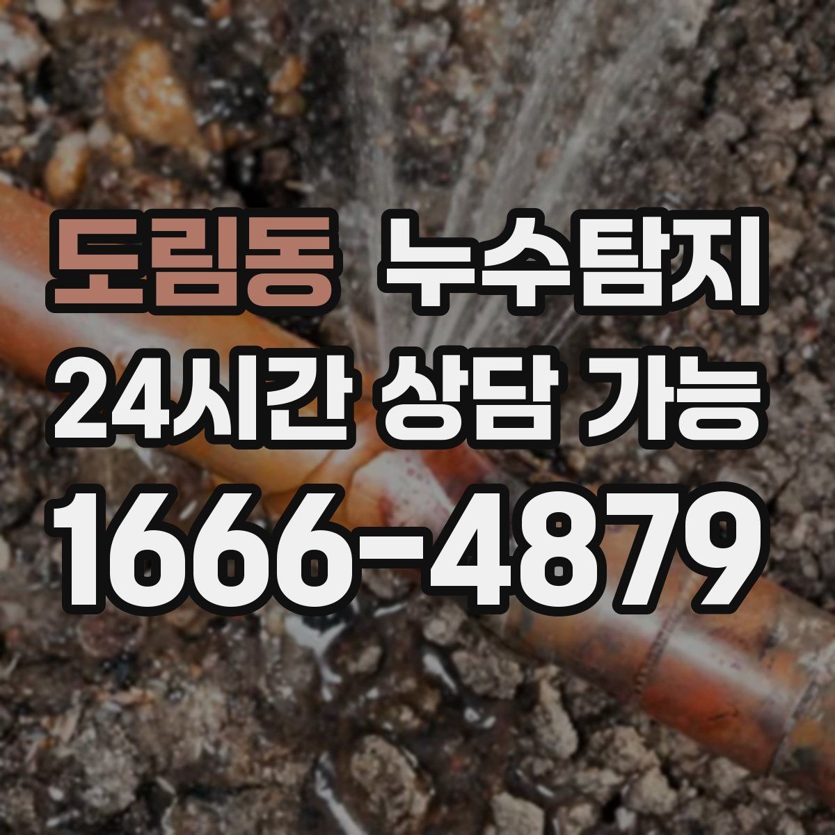도림동 누수탐지 병원 진료동 안전 점검 이야기