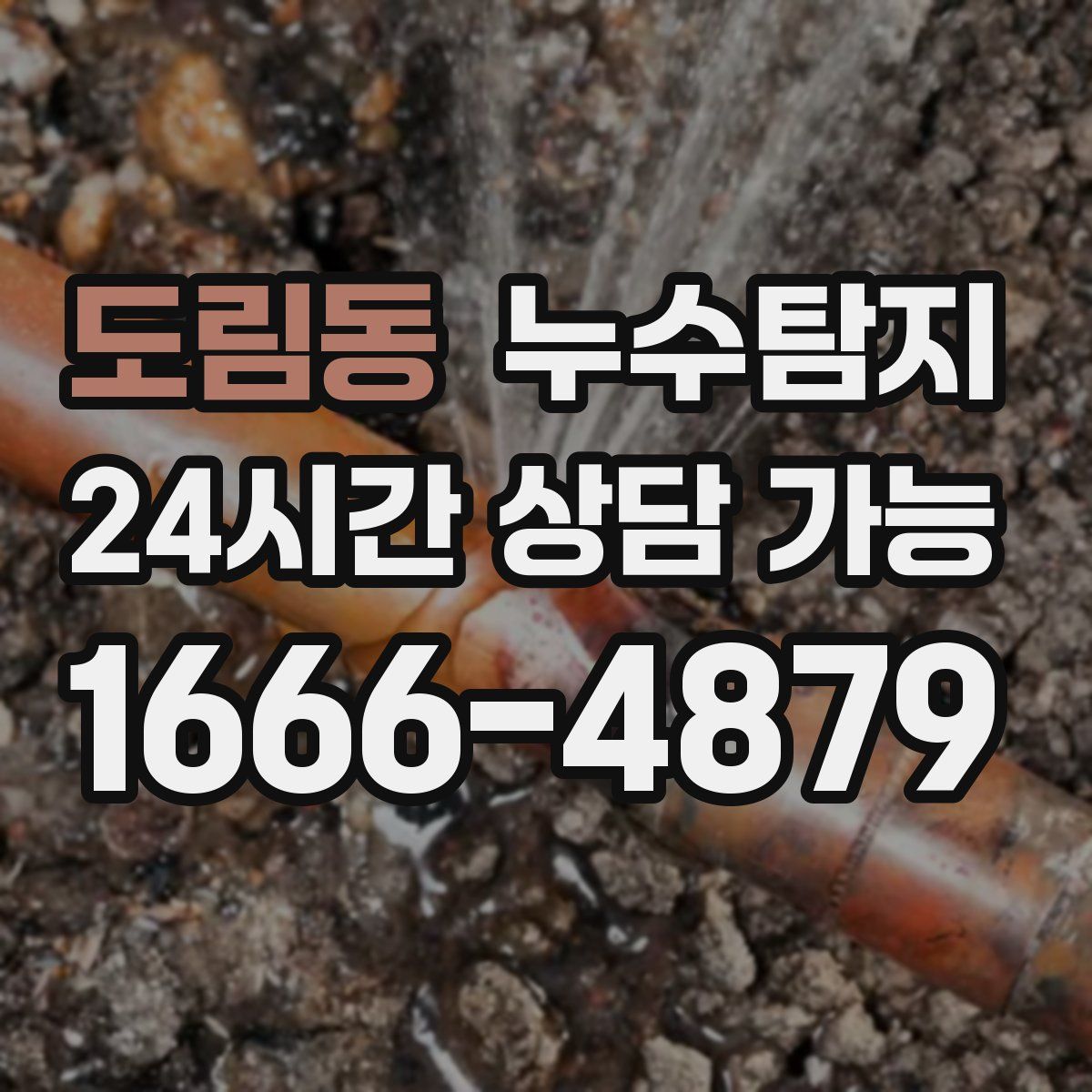 도림동 누수탐지