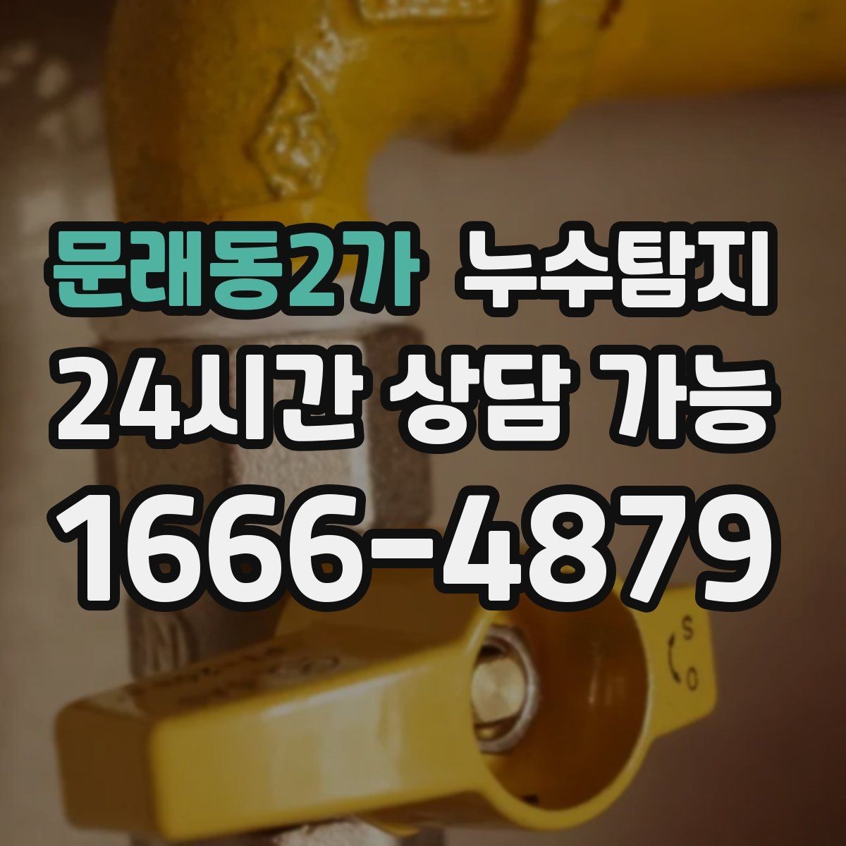 문래동2가 누수탐지 열화상 청음 정밀 점검