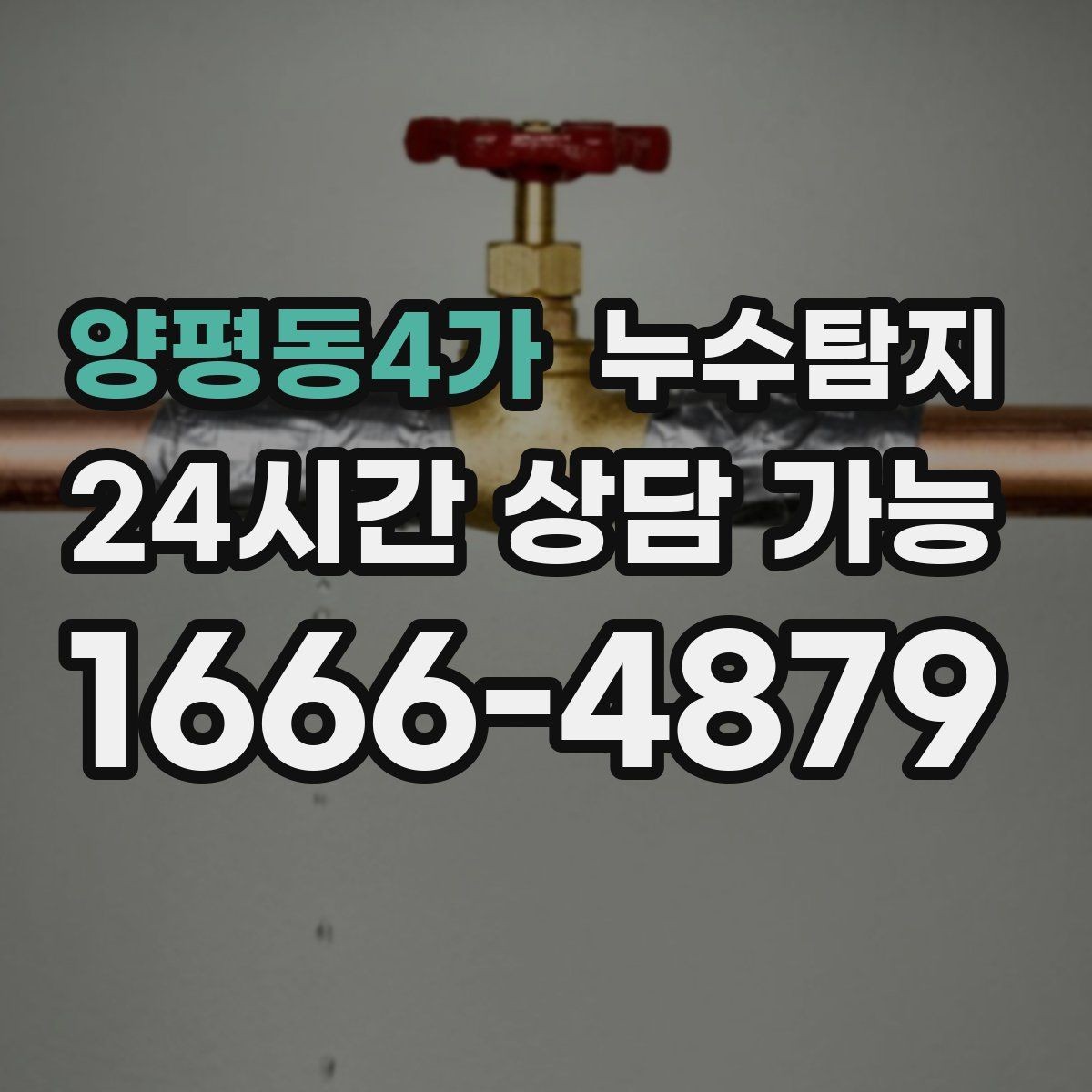 양평동4가 누수탐지 빠른 방문으로 막은 2차 피해