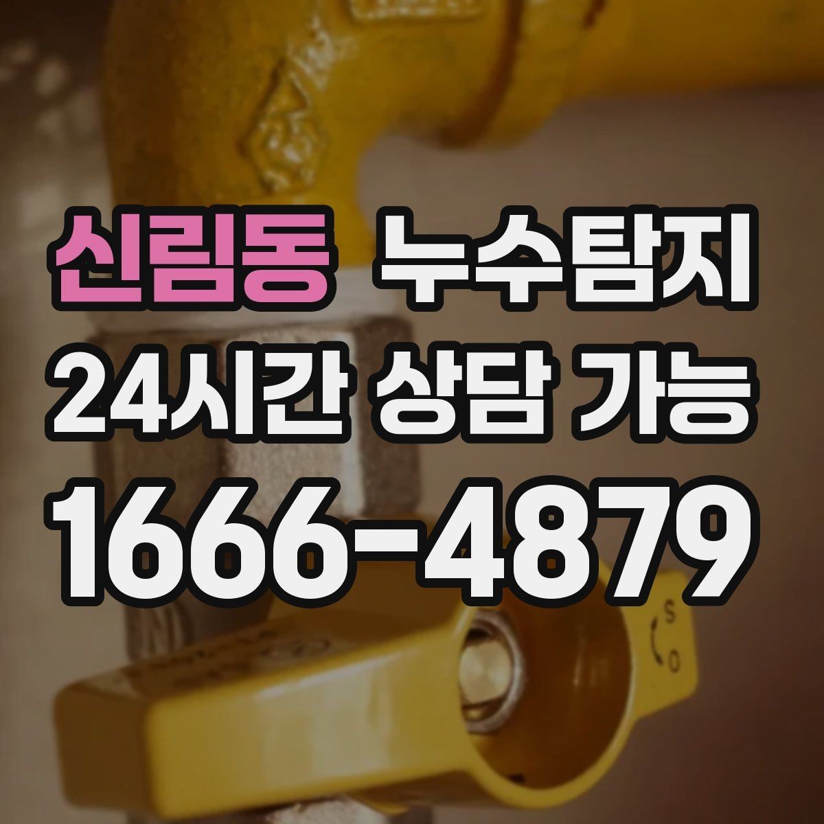신림동 누수탐지 방수 결함 누수 진단