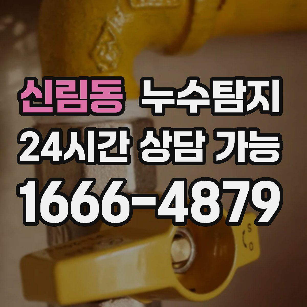 신림동 누수탐지