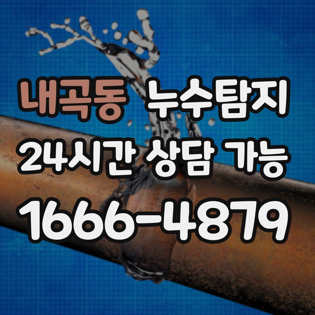 내곡동 누수탐지