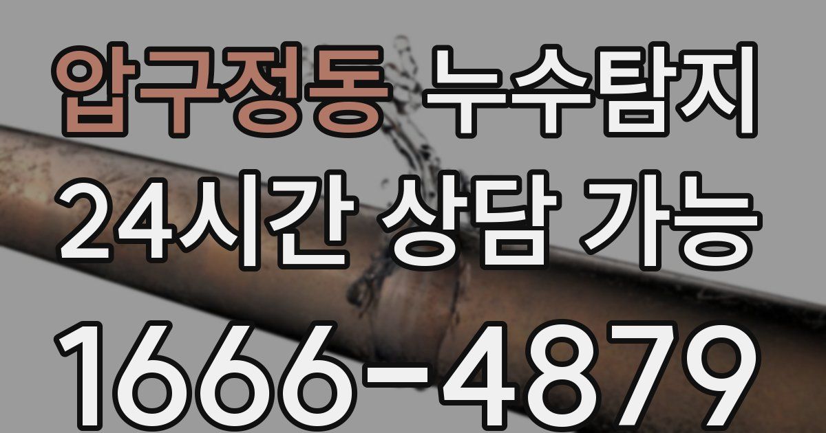 압구정동 누수