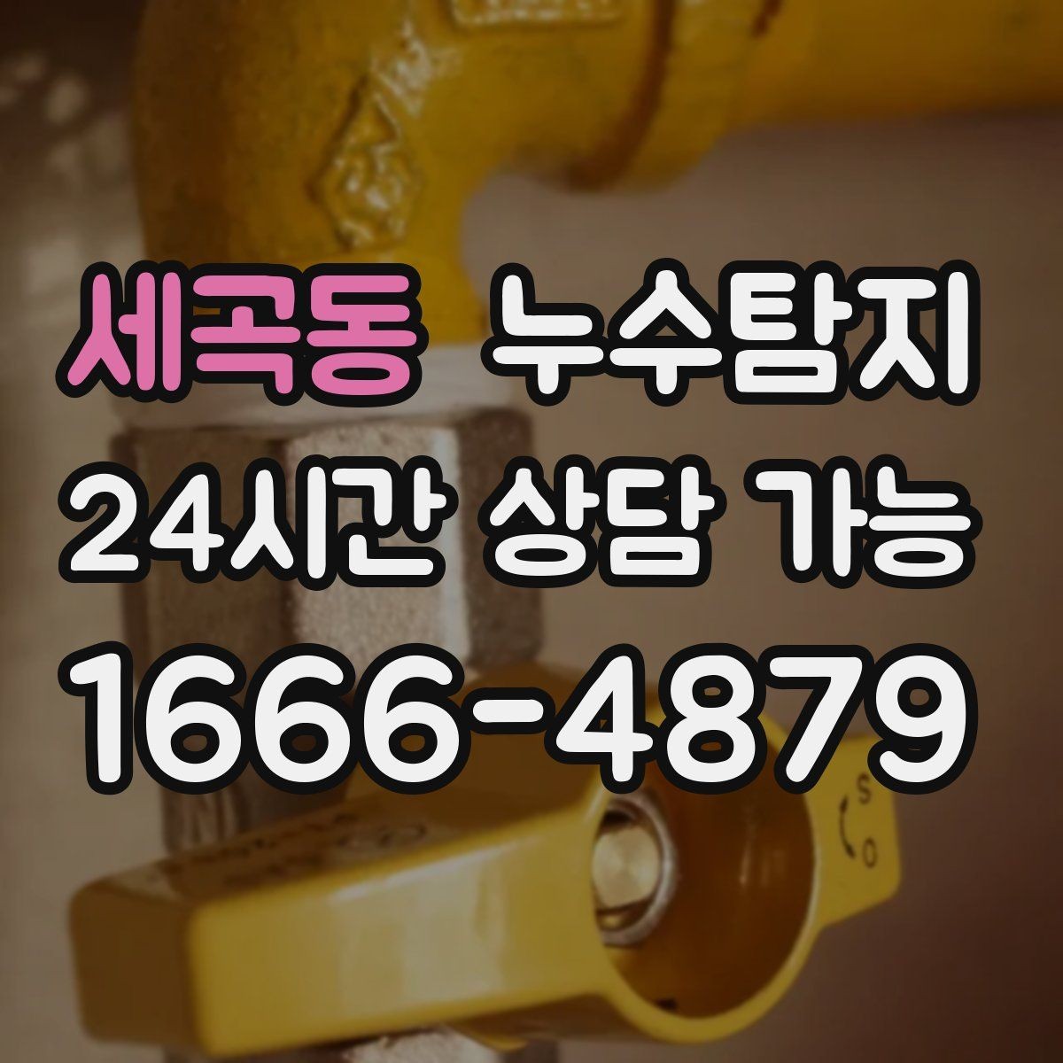 세곡동 누수탐지 장마철 곰팡이 예방 루틴 공개