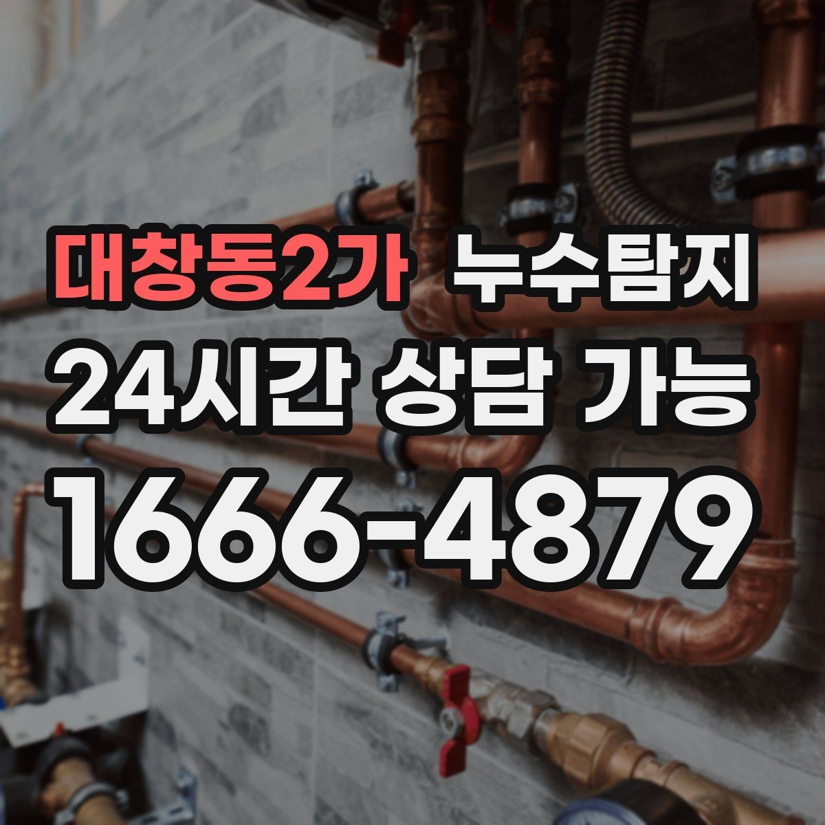 대창동2가 누수탐지 단열 결로와 누수 구분 진단